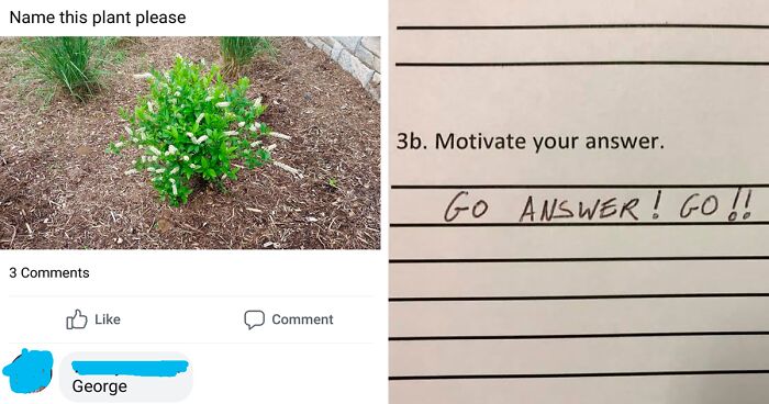 40 Times People Did Exactly What They Were Asked To But The Results Were Hilarious