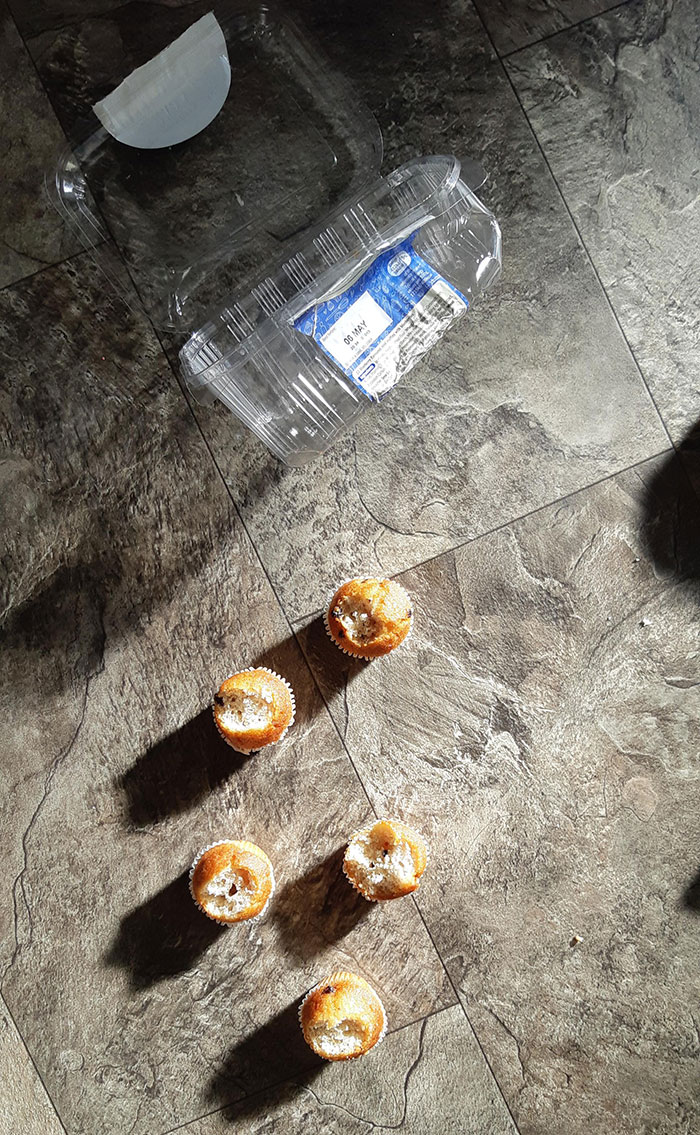 The Box Was Left On The Kitchen Counter, Left The Room For Less Than a Minute And This Is How My 2-Year-Old Has Left Them