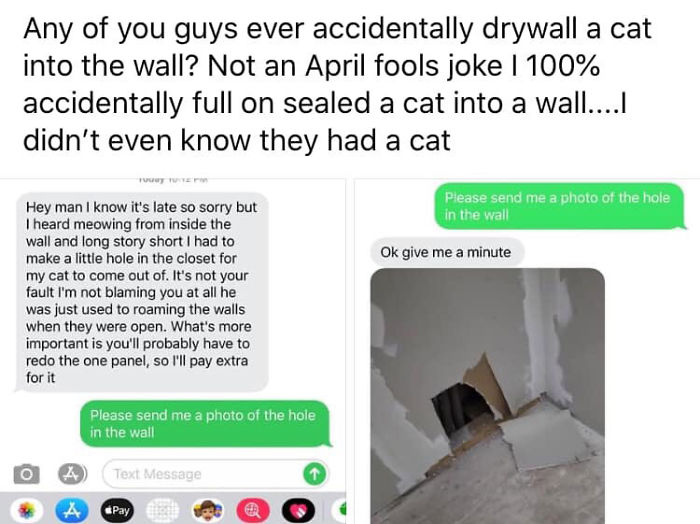 Damn Cats