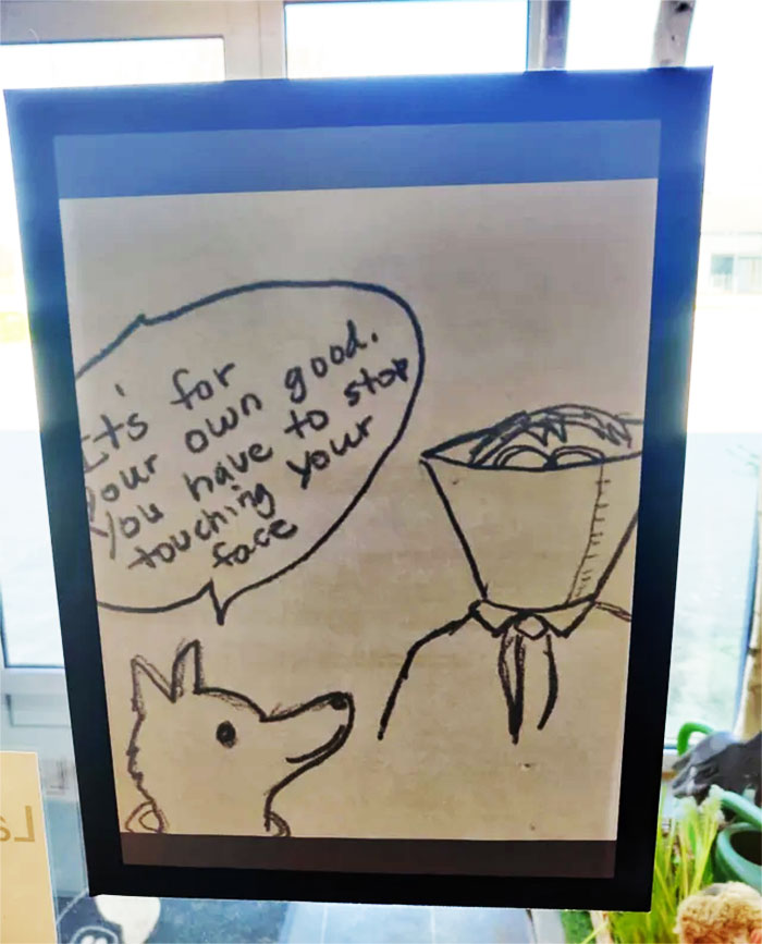 Saw This At The Dog Veterinarian Today