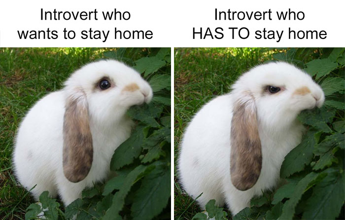 30 Of The Best Tweets From Women During The COVID-19 Pandemic