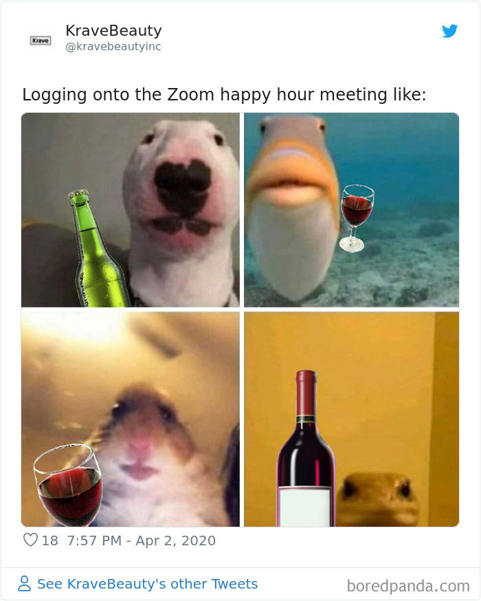 Funny-Zoom-Meetings