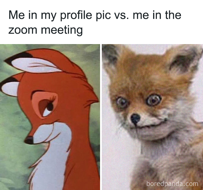 Funny-Zoom-Meetings