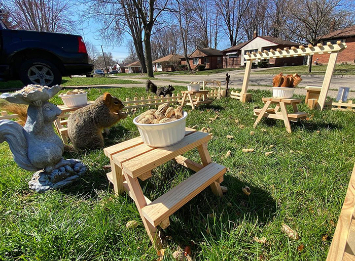 Man Uses Quarantine Time Creatively And Builds A Tiny Restaurant For Animals In His Yard Man Uses Quarantine Time Creatively And Builds A Tiny Restaurant For Animals In His Yard