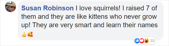 Man Uses Quarantine Time Creatively And Builds A Tiny Restaurant For Animals In His Yard Man Uses Quarantine Time Creatively And Builds A Tiny Restaurant For Animals In His Yard