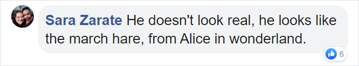 Mr. Bigglesworth, The Hairless Bunny, Was Rescued From Euthanasia, Now Lives As An Instagram Star