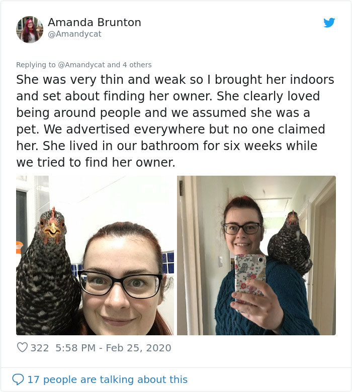 Woman Shares How She Realized Her Two Hens Were In A Lesbian Relationship In An Entertaining Thread Woman Shares How She Realized Her Two Hens Were In A Lesbian Relationship In An Entertaining Thread