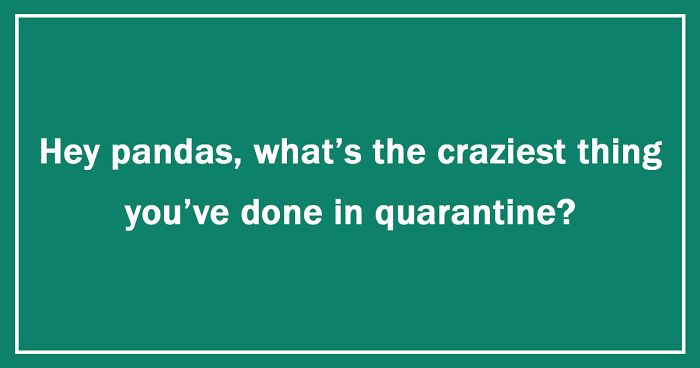 Hey Pandas, What’s The Craziest Thing You’ve Done In Quarantine? (Ended)