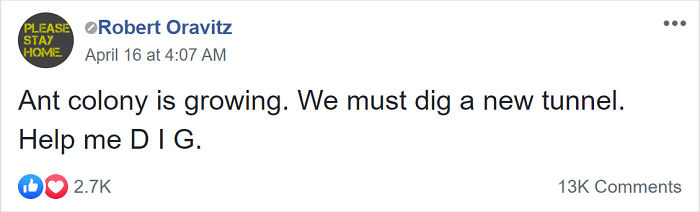 This Facebook Group Is Dedicated To People Pretending To Be Ants This Facebook Group Is Dedicated To People Pretending To Be Ants