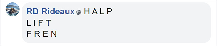 This Facebook Group Is Dedicated To People Pretending To Be Ants This Facebook Group Is Dedicated To People Pretending To Be Ants