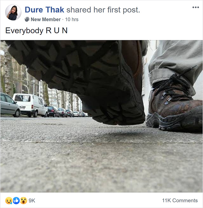 This Facebook Group Is Dedicated To People Pretending To Be Ants This Facebook Group Is Dedicated To People Pretending To Be Ants