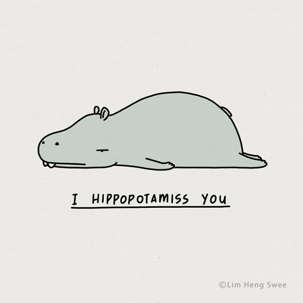 Hippopotamus
