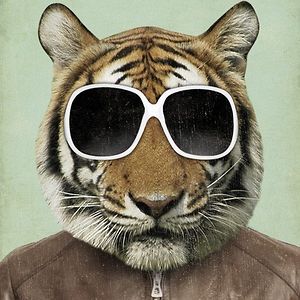 tasmaniandemon82792 avatar