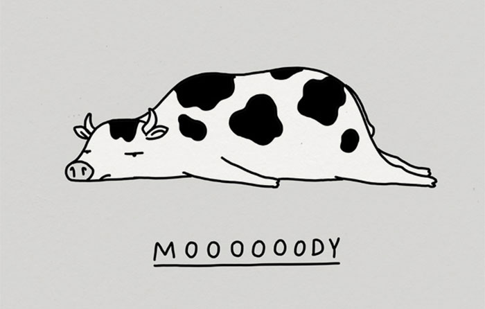 My 30 Moody Animal Puns To Help You Get Through Lockdown