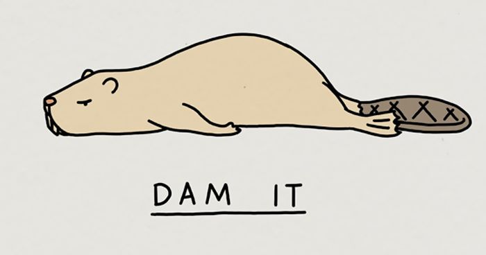 My 30 Moody Animal Puns To Help You Get Through Lockdown