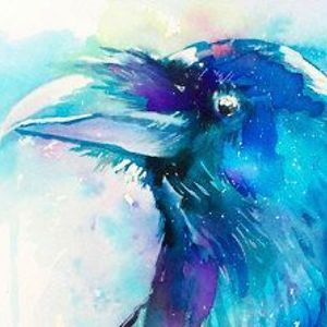 racehorserightsinfo avatar