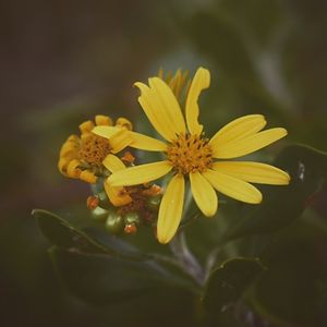 poem2972005_1 avatar