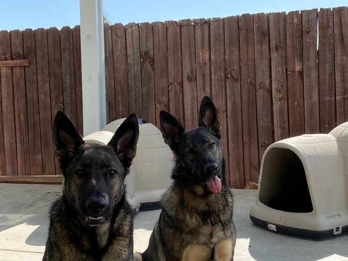 With And Without Contact Lenses