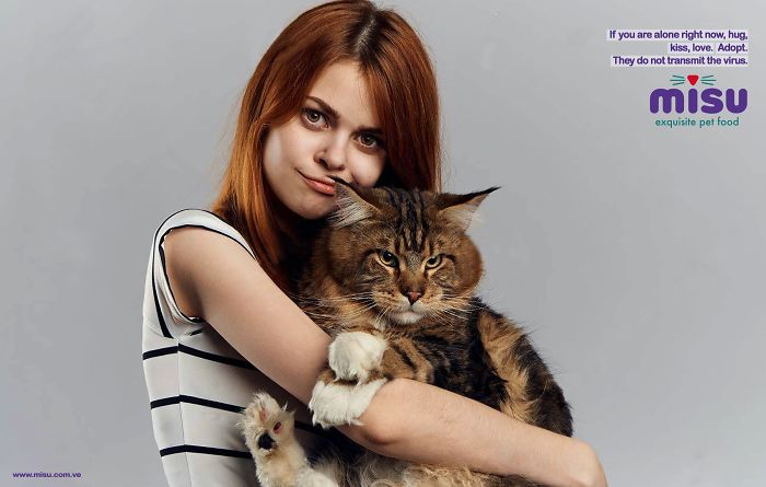 49 Ads Using Cats In A Purrrfect Way