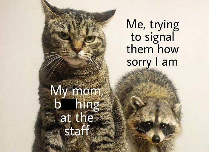 Kids Are Creating Memes About Their Insane Parents And Here Are 30 Of The Best Ones