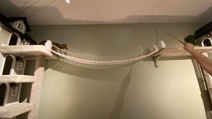 Man Builds Two Kitty Towers For His Cats And So Many People Want It, He's Gonna Start Selling The Building Plans Man Builds Two Kitty Towers For His Cats And So Many People Want It, He's Gonna Start Selling The Building Plans