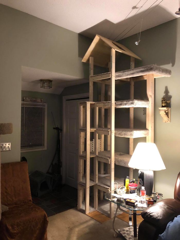 Man Builds Two Kitty Towers For His Cats And So Many People Want It, He's Gonna Start Selling The Building Plans Man Builds Two Kitty Towers For His Cats And So Many People Want It, He's Gonna Start Selling The Building Plans