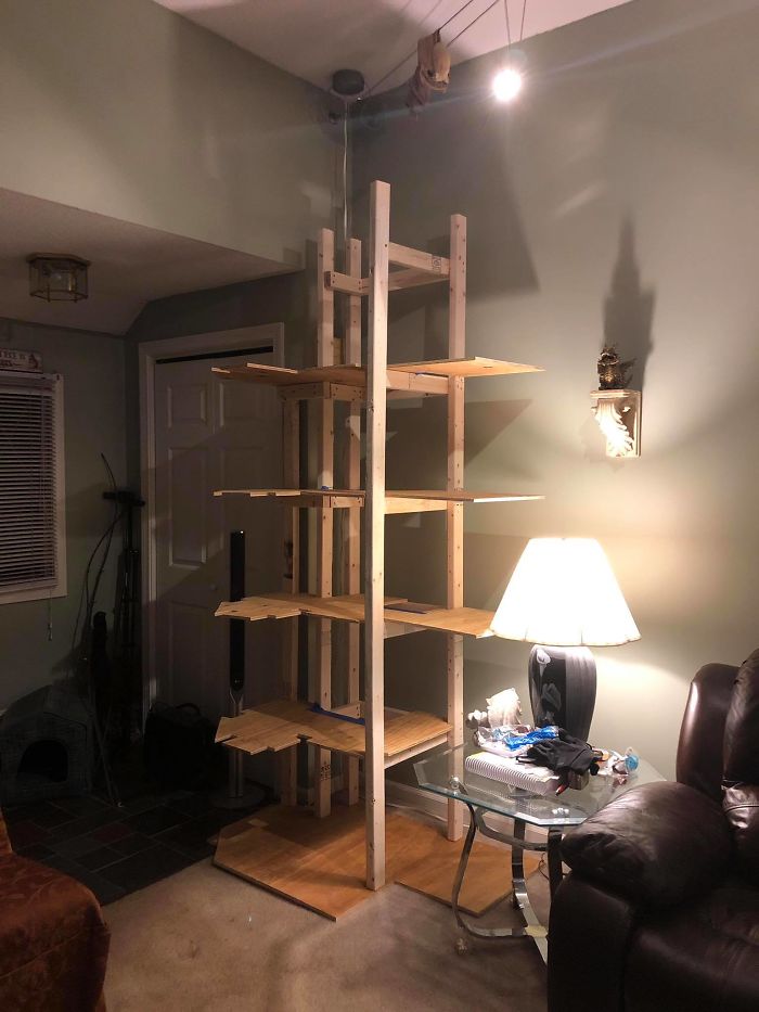 Man Builds Two Kitty Towers For His Cats And So Many People Want It, He's Gonna Start Selling The Building Plans Man Builds Two Kitty Towers For His Cats And So Many People Want It, He's Gonna Start Selling The Building Plans