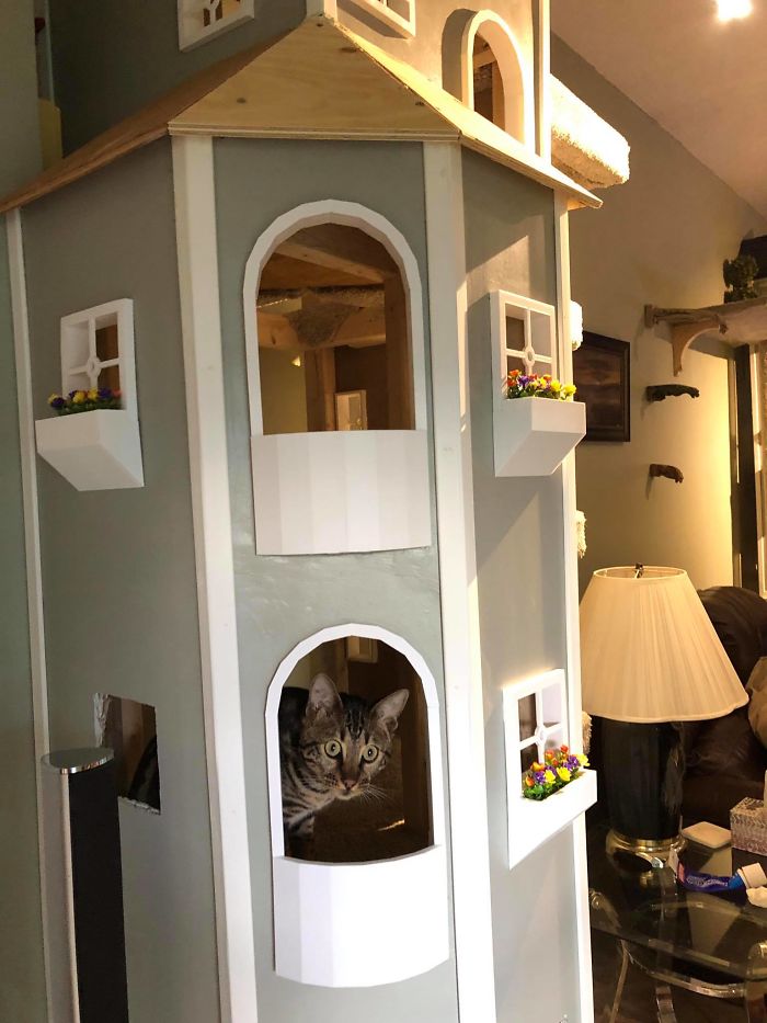 Man Builds Two Kitty Towers For His Cats And So Many People Want It, He's Gonna Start Selling The Building Plans Man Builds Two Kitty Towers For His Cats And So Many People Want It, He's Gonna Start Selling The Building Plans