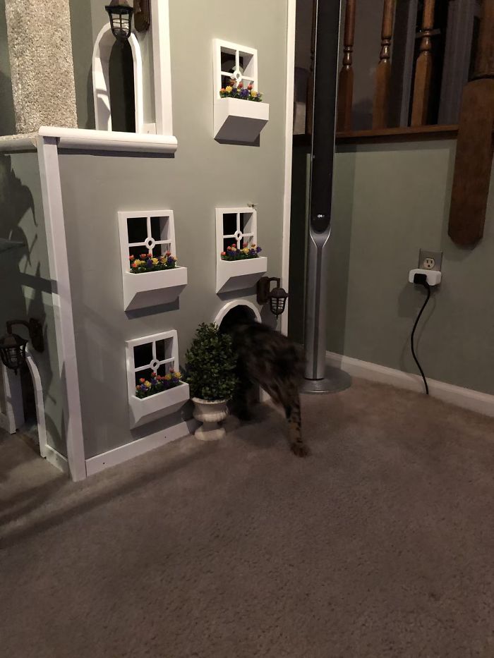 Man Builds Two Kitty Towers For His Cats And So Many People Want It, He's Gonna Start Selling The Building Plans Man Builds Two Kitty Towers For His Cats And So Many People Want It, He's Gonna Start Selling The Building Plans