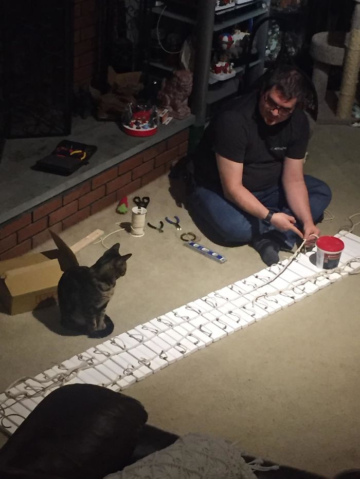 Man Builds Two Kitty Towers For His Cats And So Many People Want It, He's Gonna Start Selling The Building Plans Man Builds Two Kitty Towers For His Cats And So Many People Want It, He's Gonna Start Selling The Building Plans
