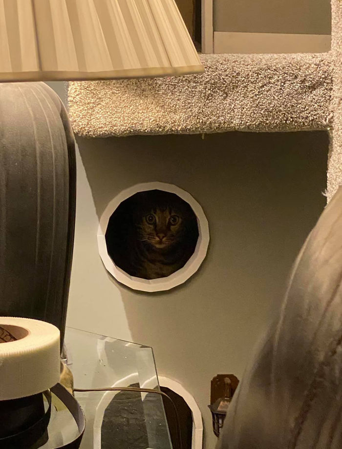 Man Builds Two Kitty Towers For His Cats And So Many People Want It, He's Gonna Start Selling The Building Plans Man Builds Two Kitty Towers For His Cats And So Many People Want It, He's Gonna Start Selling The Building Plans