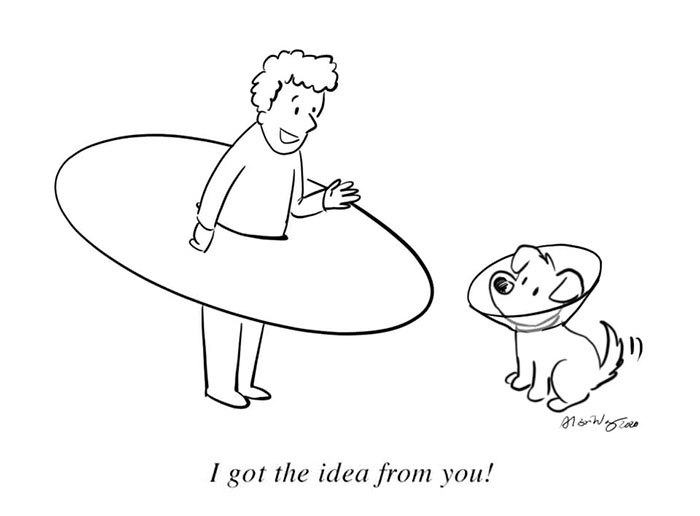 My 20 Comics To Bring Positivity And Humor To Our Shared Situation