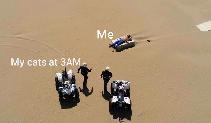 Man-Breaking-Quarantine-Italy-Beach-Jokes