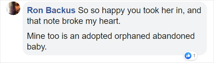 Man Left In Tears After Discovering The Note Tucked Behind Abandoned Dog's Collar