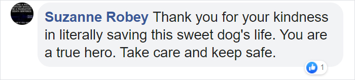 Man Left In Tears After Discovering The Note Tucked Behind Abandoned Dog's Collar Man Left In Tears After Discovering The Note Tucked Behind Abandoned Dog's Collar