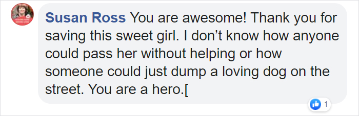 Man Left In Tears After Discovering The Note Tucked Behind Abandoned Dog's Collar Man Left In Tears After Discovering The Note Tucked Behind Abandoned Dog's Collar