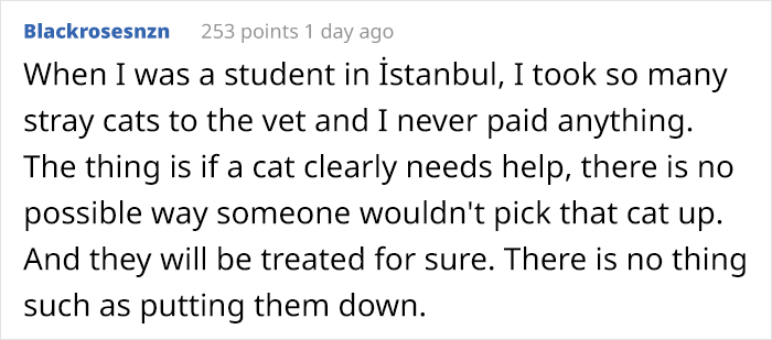 Mother Cat Brings Her Ill Kitten To The Hospital, Medics Rush To Help Them Mother Cat Brings Her Ill Kitten To The Hospital, Medics Rush To Help Them