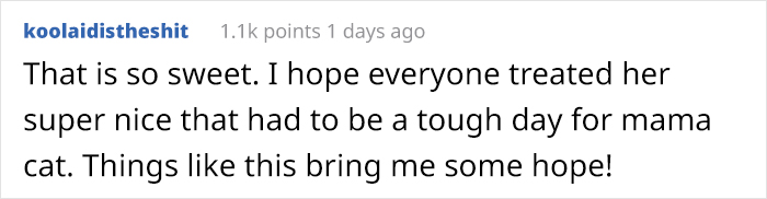 Mother Cat Brings Her Ill Kitten To The Hospital, Medics Rush To Help Them Mother Cat Brings Her Ill Kitten To The Hospital, Medics Rush To Help Them