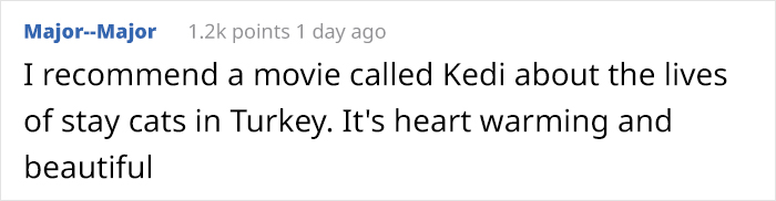 Mother Cat Brings Her Ill Kitten To The Hospital, Medics Rush To Help Them Mother Cat Brings Her Ill Kitten To The Hospital, Medics Rush To Help Them