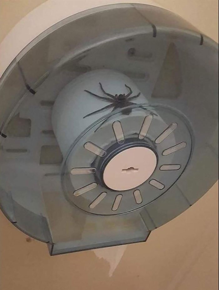 Might Be A Good Idea To Try The Next Stall