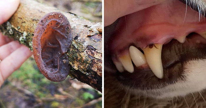 40 Times Mother Nature Proved To Be Scary As Hell (WARNING: This List Might Be Too Scary For You)