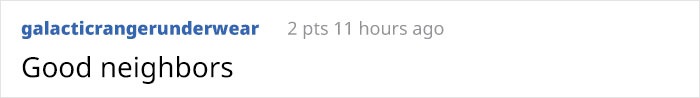 "Comment from galacticrangerunderwear saying 'Good neighbors' about quarantine dad jokes.