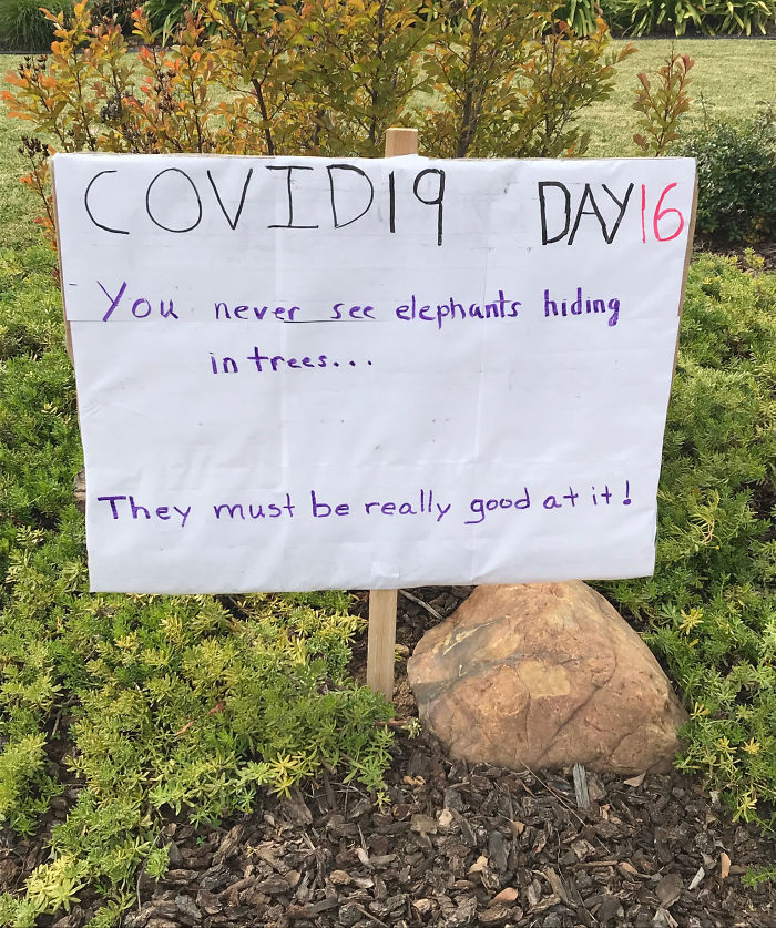 Sign with a dad joke about elephants hiding in trees, posted during quarantine for neighbor laughs. Sign with a dad joke about elephants hiding in trees, posted during quarantine for neighbor laughs.