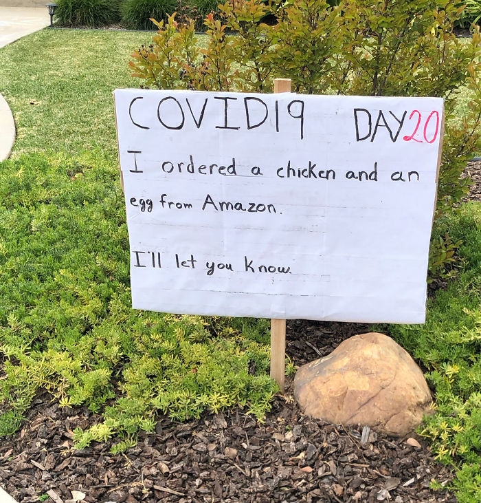 Dad joke sign in a garden reads, "I ordered a chicken and an egg from Amazon. I'll let you know. Dad joke sign in a garden reads, "I ordered a chicken and an egg from Amazon. I'll let you know.