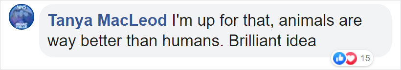 Zookeepers Self-Isolate In A UK Wildlife Park For 3 Months To Take Care Of Animals