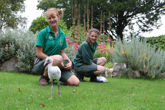 Zookeepers Self-Isolate In A UK Wildlife Park For 3 Months To Take Care Of Animals Zookeepers Self-Isolate In A UK Wildlife Park For 3 Months To Take Care Of Animals