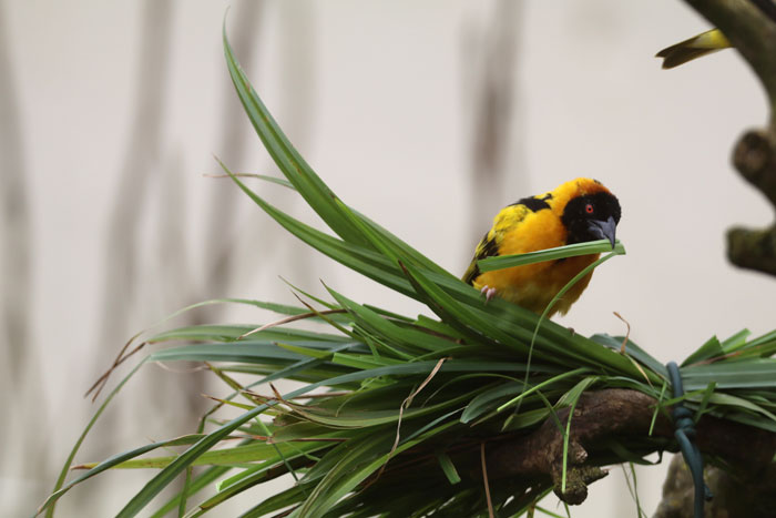 Zookeepers Self-Isolate In A UK Wildlife Park For 3 Months To Take Care Of Animals Zookeepers Self-Isolate In A UK Wildlife Park For 3 Months To Take Care Of Animals