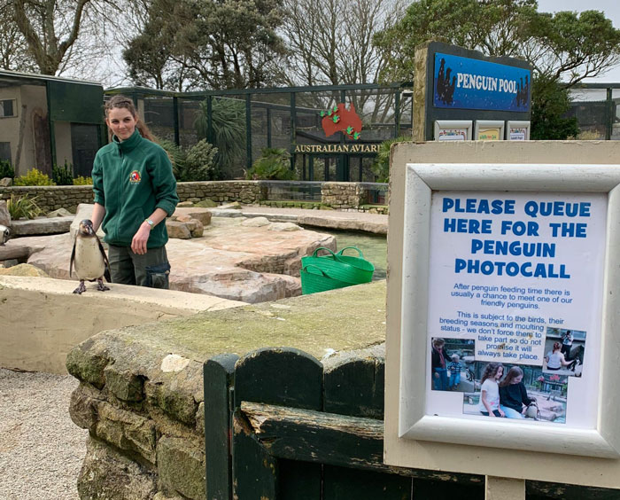 Zookeepers Self-Isolate In A UK Wildlife Park For 3 Months To Take Care Of Animals