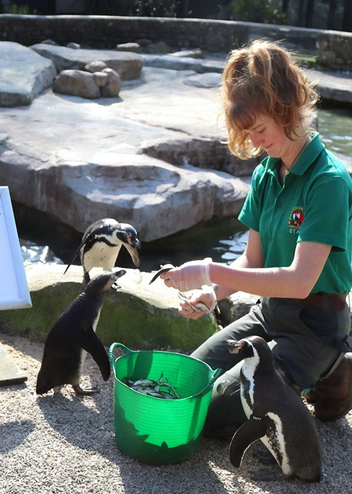 Zookeepers Self-Isolate In A UK Wildlife Park For 3 Months To Take Care Of Animals Zookeepers Self-Isolate In A UK Wildlife Park For 3 Months To Take Care Of Animals