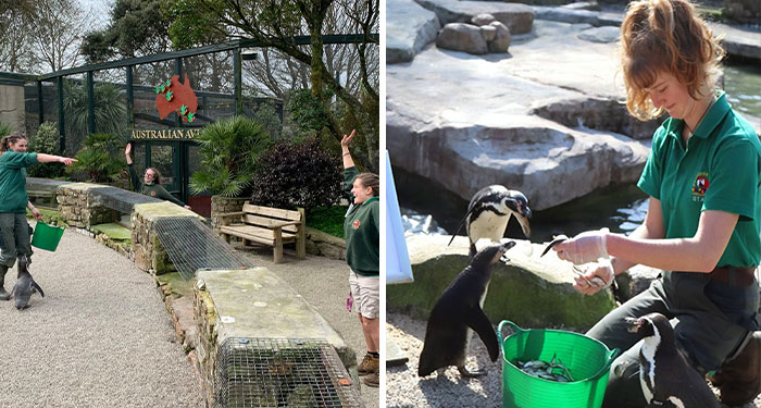 Zookeepers Self-Isolate In A UK Wildlife Park For 3 Months To Take Care Of Animals
